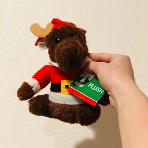 Original chewing bear - For pets